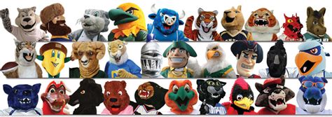 SUNY Mascot Chaos: Why It Matters in Higher Education